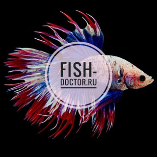 FISH DOCTOR
