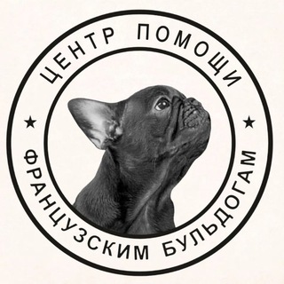 ФРАНЦУЗСКИЙ БУЛЬДОГ. ГРУППА ПОМОЩИ ФРАНЦУЗСКИМ БУЛЬДОГАМ FRENCHBULL_HELP
