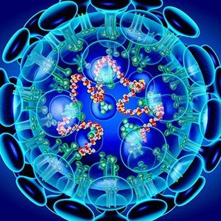 БЕЗ ПАНИКИ | КОРОНАВИРУС