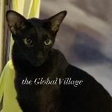 THE VILLAGE