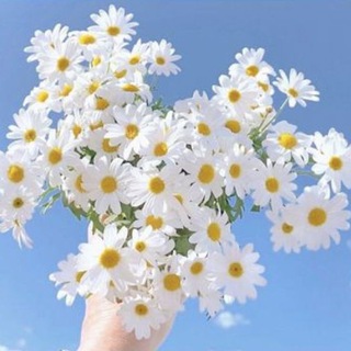 ВОРОНОВА | О РЫНКАХ И КОНКУРЕНТАХ