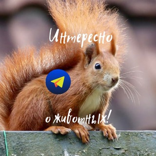 ИНТЕРЕСНО О ЖИВОТНЫХ!