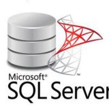 SQL SERVER - BRASIL