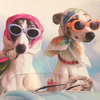 В АДЕКВАТНОЙ ФАЗЕ