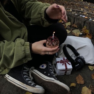 ⋆⁺。 СОСНОВЫЙ ЛЕС ˚⋆˙