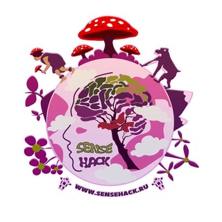SENSE HACK CHAT