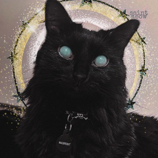 SAINT MEOW