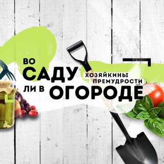 КАНАЛ ВО САДУ ЛИ В ОГОРОДЕ
