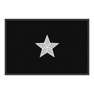 BRIGADIER GENERAL