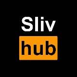 SLIVHUB