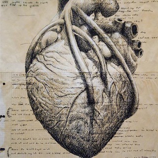 MEDACADEMY | МЕДИЦИНА