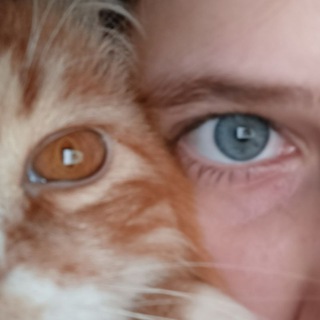 ࣪⊹.꒰ ОБРЫВКИ ПАМЯТИ ᥐʾ ֛