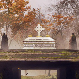 ᴀᴠᴀʟᴏɴ ✚ ᴍᴜSꞮᴄ