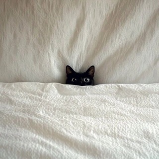 NODRAMA