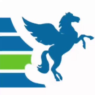 PEGAS TOURISTIK, ТУРИСТИЧЕСКОЕ АГЕНТСТВО.
