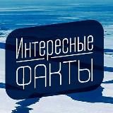 ИНТЕРЕСНЫЕ | ФАКТЫ