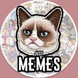 THE WORST MEMES