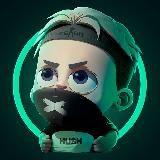 HUSH X COUNTER-STRIKE 2