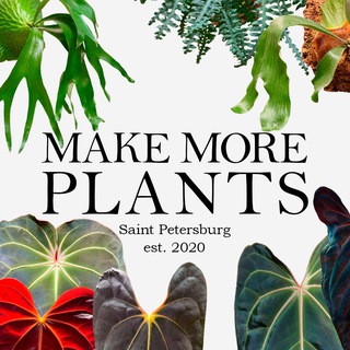 MAKE MORE PLANTS | КРИСТИНА