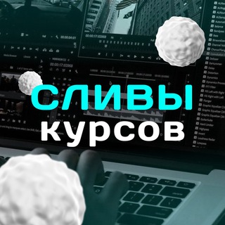  СЛИВЫ КУРСОВ 