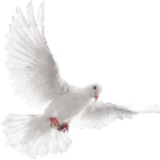 ДУШЕВНОЕ РАВНОВЕСИЕ