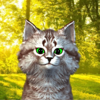 ЭКИЛИБР. ВСЕ О МЕДИТАЦИИ И МЕНТАЛЬНОМ РАЗВИТИИ.