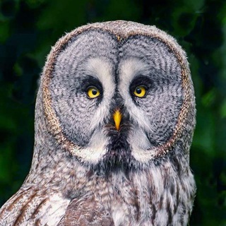 ТЫ ЧТО, УМНИК?