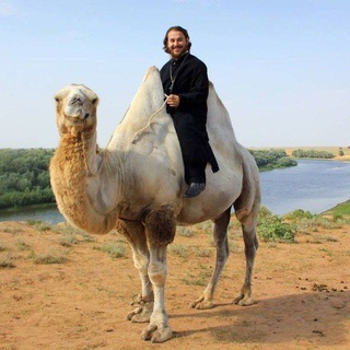 СВЯЩЕННИК АЛЬВИАН