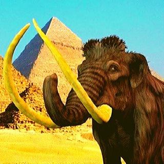 HORIZONTAL HISTORY 卄卄 | ИСТОРИЯ | МИР