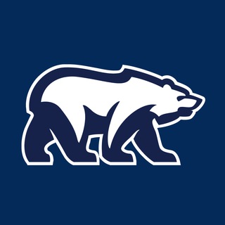 ФРАКЦИЯ «ЕДИНАЯ РОССИЯ»