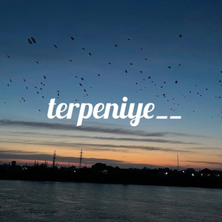 TERPENIYE__