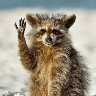 ЗАБАВНО И ТОЧКА