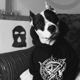 NONGRATA (ДЛЯ ЦЕНИТЕЛЕЙ АНДЕРГРАУНДА) ЗАЕБЕШЬСЯ СЛУШАТЬ !