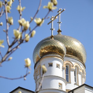 ВЛАДИКАВКАЗСКАЯ И АЛАНСКАЯ ЕПАРХИЯ