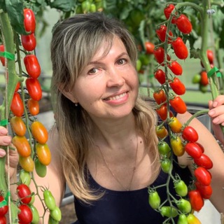 УРОЖАЙНЫЙ ОГОРОД