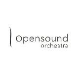 OPENSOUNDORCHESTRA