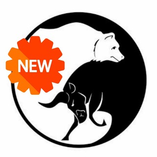 MOROCCAN TRADING COMMUNITY