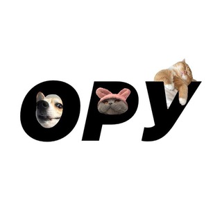 ОРУІОРУ