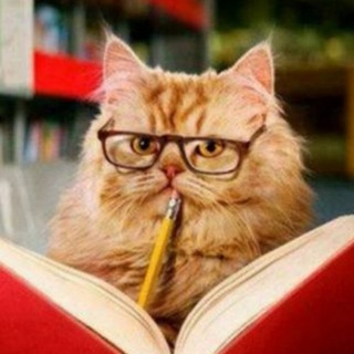 БЕЗ ДУРАКОВ