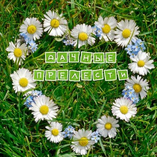 ДАЧНЫЕ ПРЕЛЕСТИ