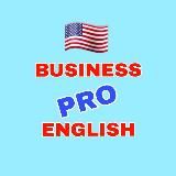 BUSINESS ENGLISH PRO