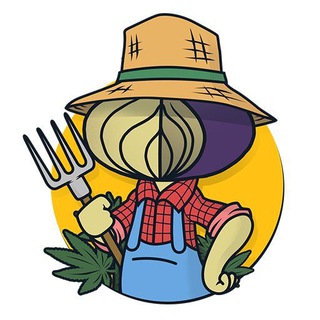 CHIPOLLINO GROW CLUB