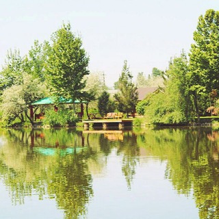 РЫБОЛОВНЫЙ КЛУБ GOLDEN FISH