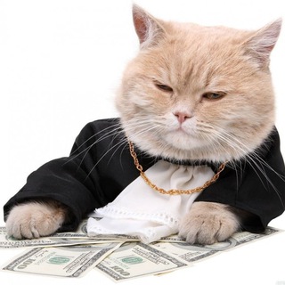 НАЛОГИ | ЗАКОНЫ | БИЗНЕС