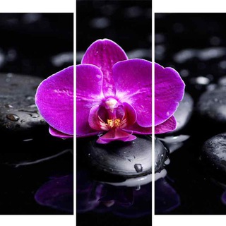 МОДУЛЬНЫЕ КАРТИНЫ. КАТАЛОГ