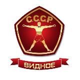 ФИТНЕС СССР ВИДНОЕ