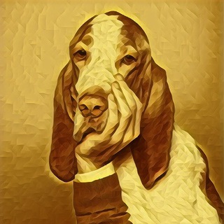 СОБАКА ПАВЛОВНА | РЕФЛЕКСЫ БОГАТЫХ ЛЮДЕЙ