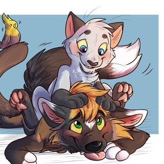 ЛЮБИТЕЛЯМ КОШЕК И СОБАК