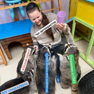 ЧАТ АВТОЮРИСТА :)