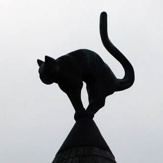 РУССКИЙ ЧАТ РИГИ